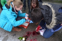 aufbaukurs-2015-I-erste-Hilfe_035