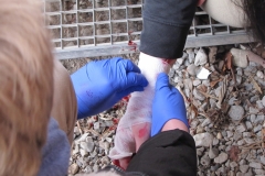 aufbaukurs-2016-I-erste-hilfe_037