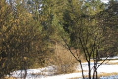 djka_lk_klausur_2016_027