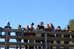 herbstfreizeit-2017_109