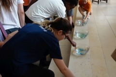 gegenbesuch-2017_031