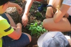pfingstfreizeit_2019-035