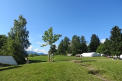 libi-2021_022