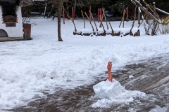 aufbaukurs_2022-I-098