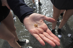 jugendfreizeit-holland-2023_037