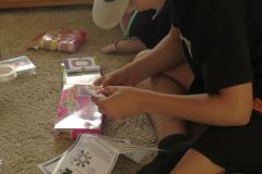 libi-2024_019